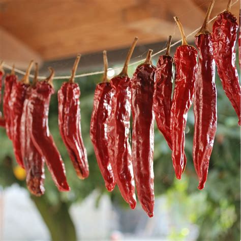 how to dry chili peppers